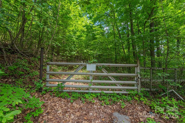 152 Bear Rock Rd, Hendersonville, NC 28739