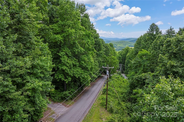 152 Bear Rock Rd, Hendersonville, NC 28739