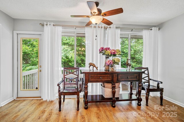 702 Woodlea Ct, Asheville, NC 28806 - photo 18