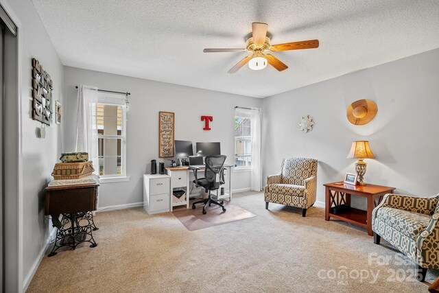 702 Woodlea Ct, Asheville, NC 28806 - photo 25