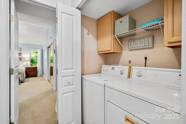 702 Woodlea Ct, Asheville, NC 28806 - photo 28