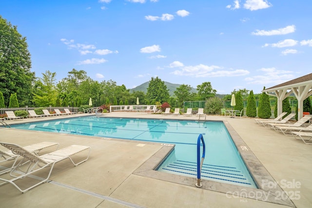 702 Woodlea Ct, Asheville, NC 28806 - photo 32