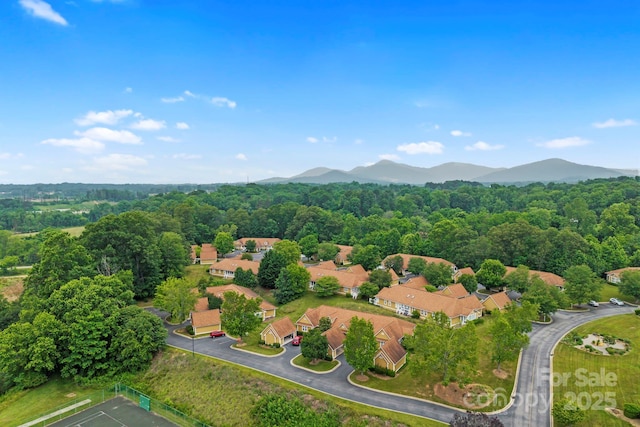 702 Woodlea Ct, Asheville, NC 28806 - photo 34