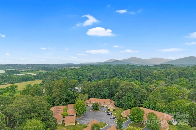 702 Woodlea Ct, Asheville, NC 28806 - photo 35