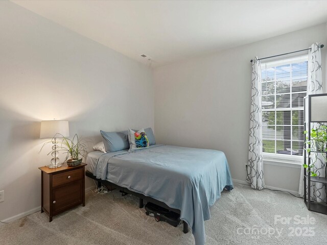 11332 Anna Rose Rd, Charlotte, NC 28273 - photo 16