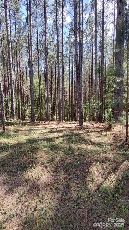 105 Cranberry Ln Unit 80, Mooresboro, NC 28114