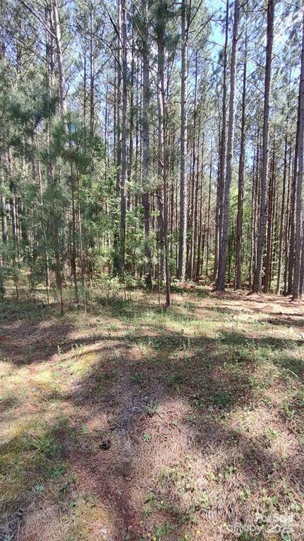 105 Cranberry Ln Unit 80, Mooresboro, NC 28114