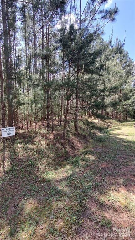 105 Cranberry Ln Unit 80, Mooresboro, NC 28114
