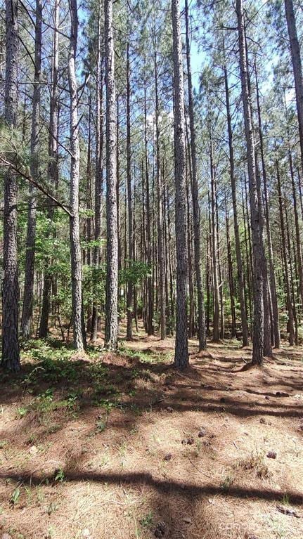 105 Cranberry Ln Unit 80, Mooresboro, NC 28114