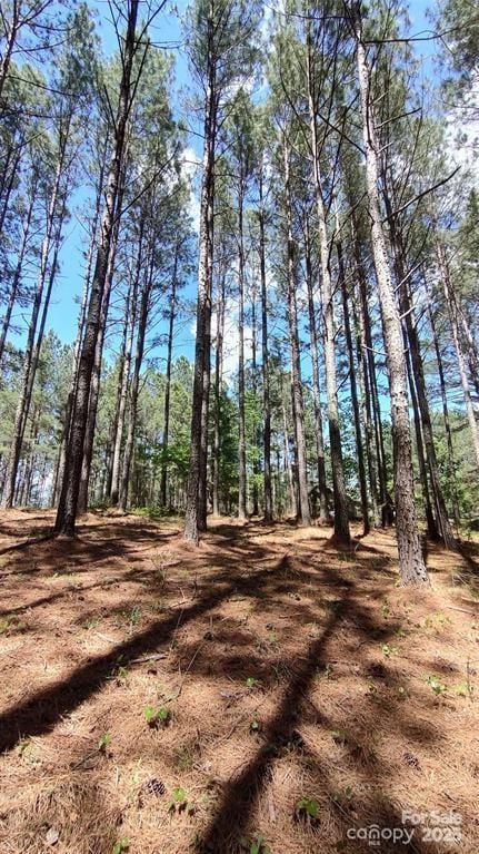 105 Cranberry Ln Unit 80, Mooresboro, NC 28114
