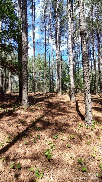 105 Cranberry Ln Unit 80, Mooresboro, NC 28114