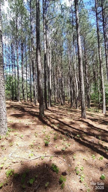 105 Cranberry Ln Unit 80, Mooresboro, NC 28114