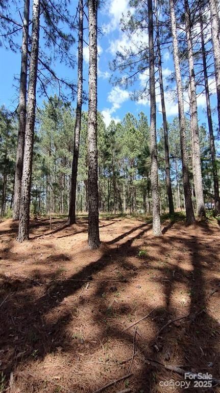 105 Cranberry Ln Unit 80, Mooresboro, NC 28114