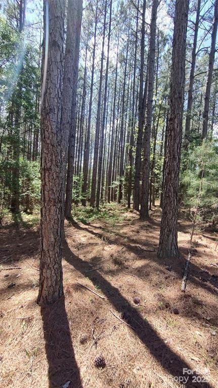 105 Cranberry Ln Unit 80, Mooresboro, NC 28114