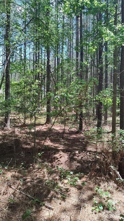 105 Cranberry Ln Unit 80, Mooresboro, NC 28114