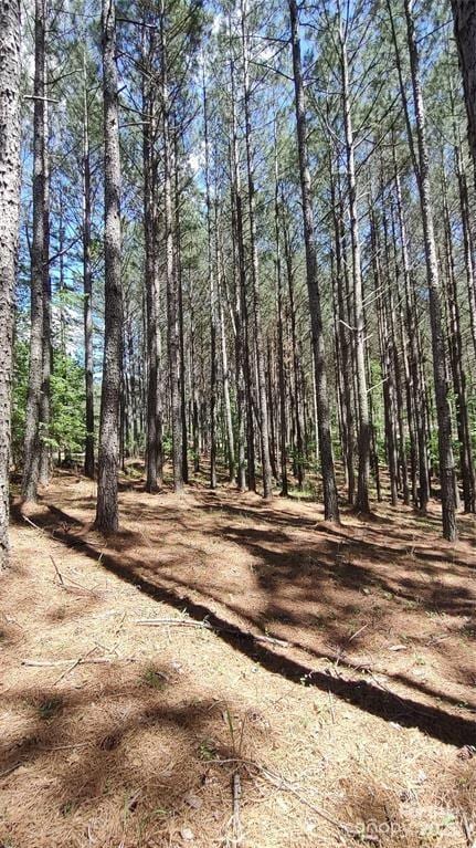 105 Cranberry Ln Unit 80, Mooresboro, NC 28114