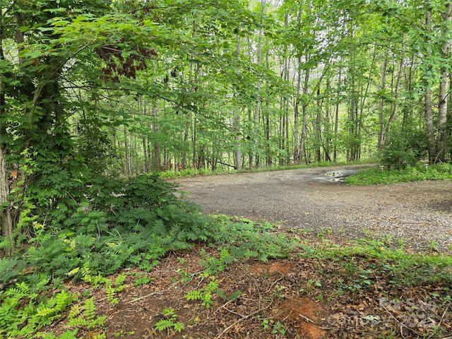 244 Mcmahan Ln, Bakersville, NC 28705 - photo 4