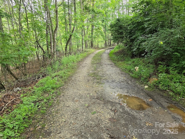 244 Mcmahan Ln, Bakersville, NC 28705 - photo 5