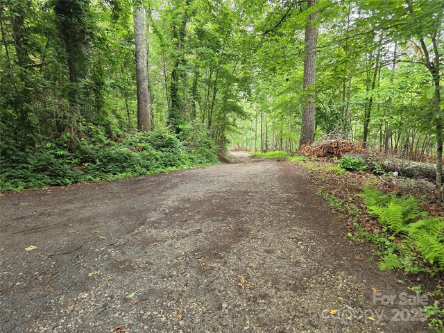 244 Mcmahan Ln, Bakersville, NC 28705 - photo 6