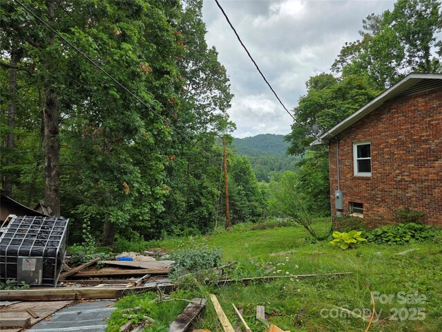 244 Mcmahan Ln, Bakersville, NC 28705 - photo 9