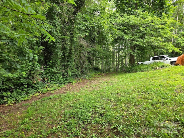 244 Mcmahan Ln, Bakersville, NC 28705 - photo 13