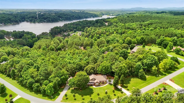 234 Rivercliff Dr, Stony Point, NC 28678 - bird's eye view of a heavily wooded area and a nearby body of water