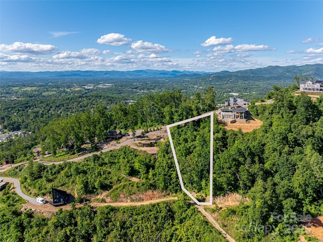 151 Serenity Ridge Trl, Asheville, NC 28804 - photo 1