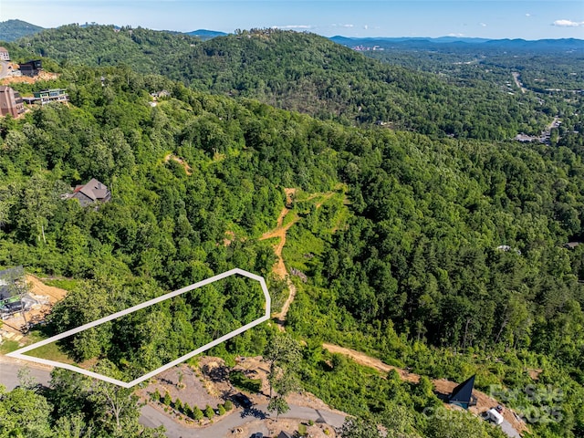 151 Serenity Ridge Trl, Asheville, NC 28804 - photo 2