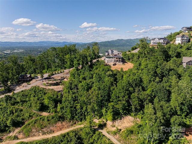 151 Serenity Ridge Trl, Asheville, NC 28804 - photo 3