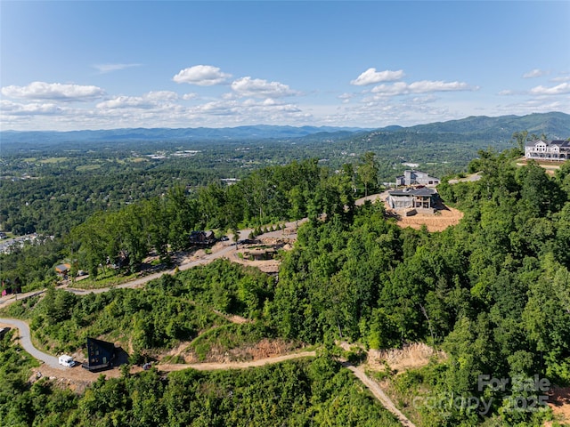 151 Serenity Ridge Trl, Asheville, NC 28804 - photo 4