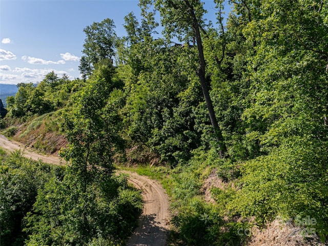 151 Serenity Ridge Trl, Asheville, NC 28804 - photo 5