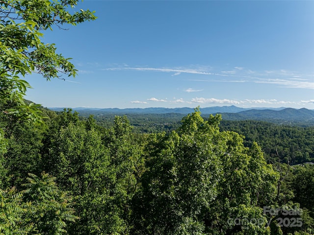 151 Serenity Ridge Trl, Asheville, NC 28804 - photo 6