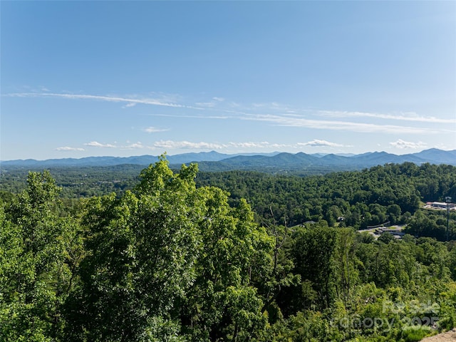 151 Serenity Ridge Trl, Asheville, NC 28804 - photo 7
