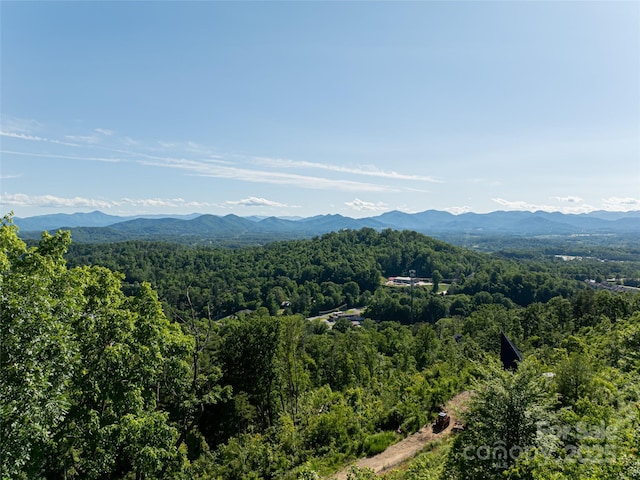 151 Serenity Ridge Trl, Asheville, NC 28804 - photo 8