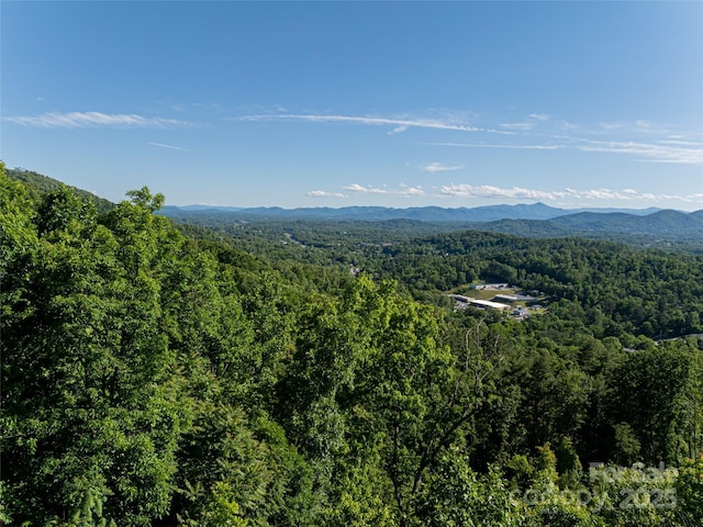 151 Serenity Ridge Trl, Asheville, NC 28804 - photo 9