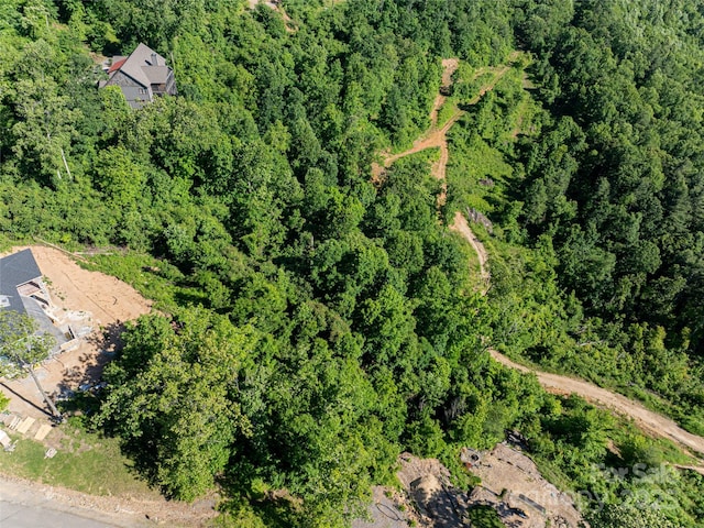 151 Serenity Ridge Trl, Asheville, NC 28804 - photo 10
