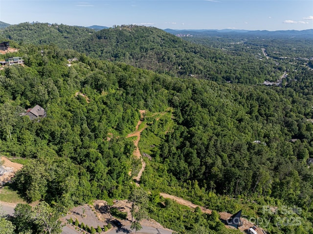 151 Serenity Ridge Trl, Asheville, NC 28804 - photo 11