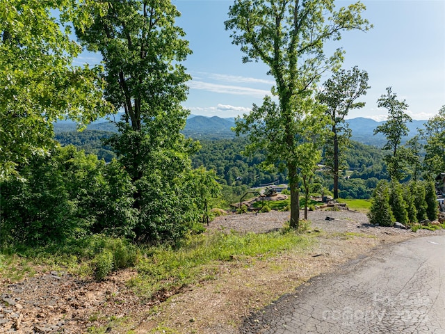 151 Serenity Ridge Trl, Asheville, NC 28804 - photo 13