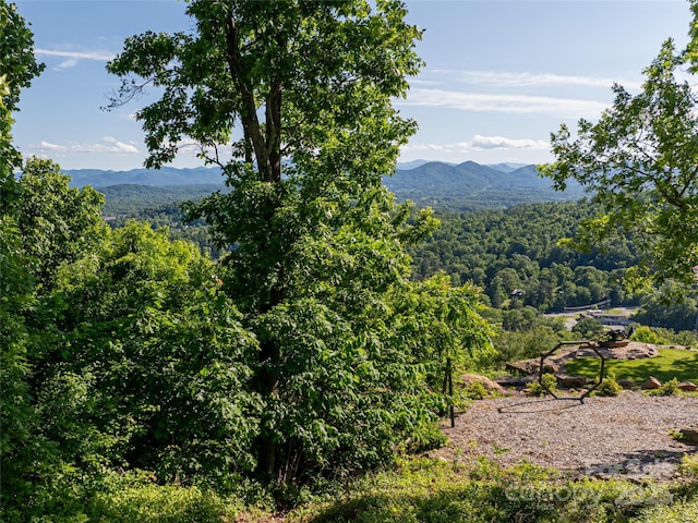 151 Serenity Ridge Trl, Asheville, NC 28804 - photo 14