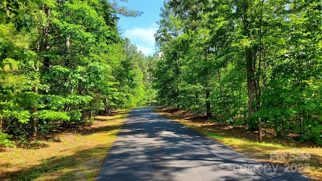 23/24 Loblolly Ln Unit 23/24, Mill Spring, NC 28756