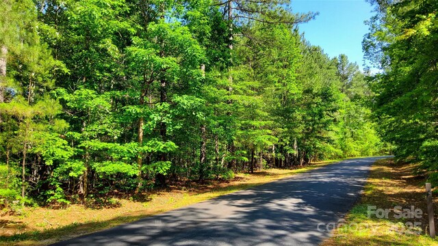23/24 Loblolly Ln Unit 23/24, Mill Spring, NC 28756