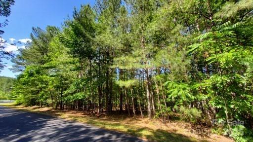 23/24 Loblolly Ln Unit 23/24, Mill Spring, NC 28756