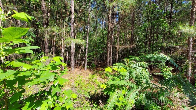 23/24 Loblolly Ln Unit 23/24, Mill Spring, NC 28756