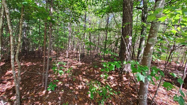23/24 Loblolly Ln Unit 23/24, Mill Spring, NC 28756