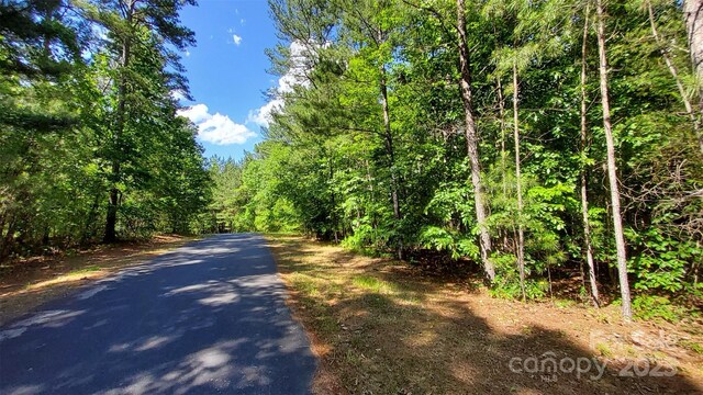 23/24 Loblolly Ln Unit 23/24, Mill Spring, NC 28756