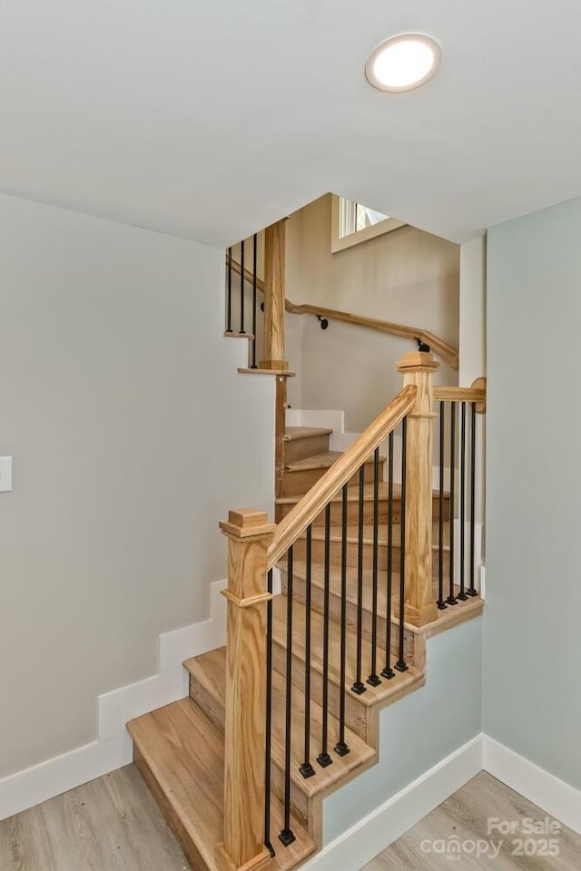 41 Robinhood Rd, Asheville, NC 28804 - photo 33