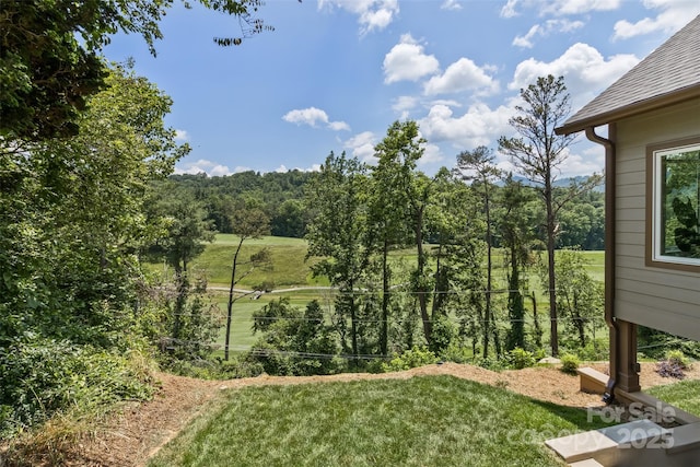 41 Robinhood Rd, Asheville, NC 28804 - photo 42