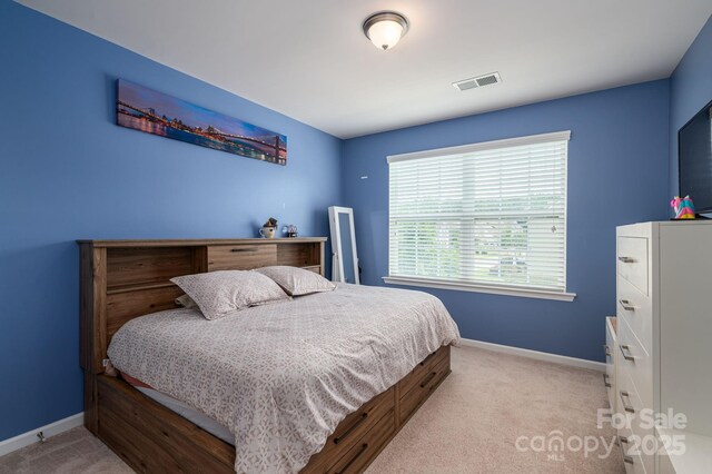 104 Wingstem Ct, Mooresville, NC 28117 - photo 37