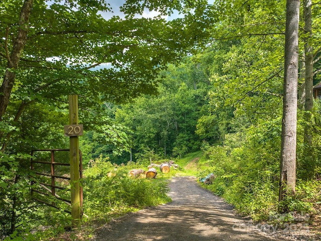 20 Frontier Ct, Asheville, NC 28805 - photo 13