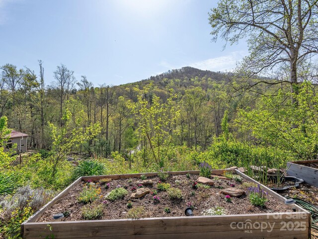 20 Frontier Ct, Asheville, NC 28805 - photo 24